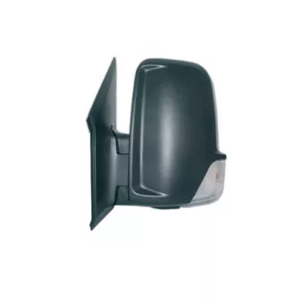 Rétroviseur extérieur SPILU 53985