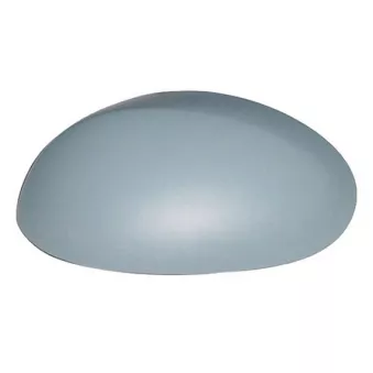 Revêtement, rétroviseur extérieur SPILU 54545