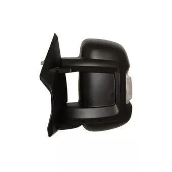 Rétroviseur extérieur SPILU 54581