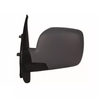 Rétroviseur extérieur SPILU 55219
