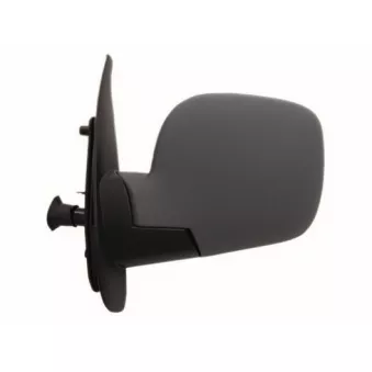 Rétroviseur extérieur SPILU 55227