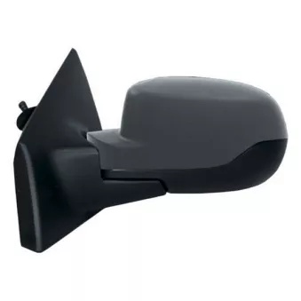 Rétroviseur extérieur SPILU 55230