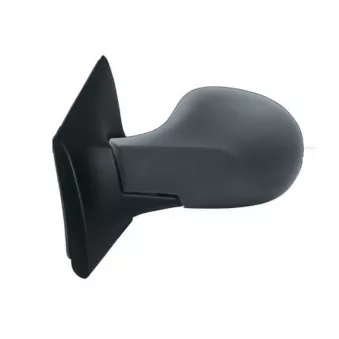 Rétroviseur extérieur SPILU 55239