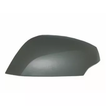 Revêtement, rétroviseur extérieur SPILU 55251