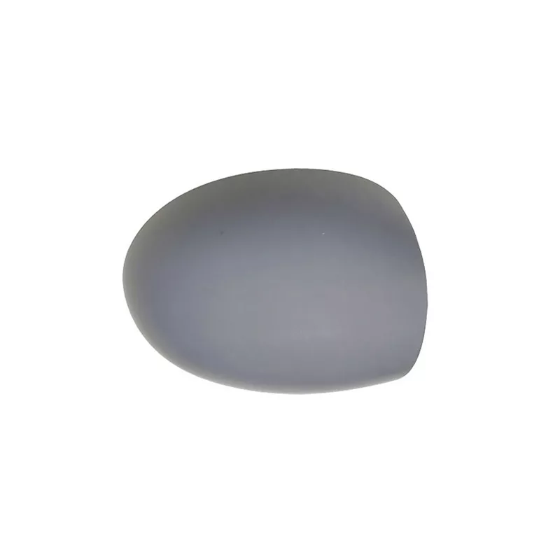 Revêtement, rétroviseur extérieur SPILU 55274