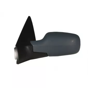 Rétroviseur extérieur SPILU 55294