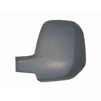 Revêtement, rétroviseur extérieur SPILU 55407