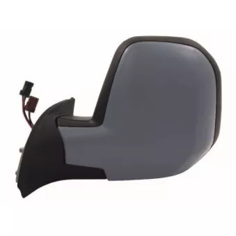Rétroviseur extérieur SPILU 55411