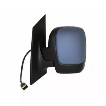Rétroviseur extérieur SPILU 55419