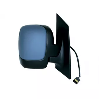 Rétroviseur extérieur SPILU 55420