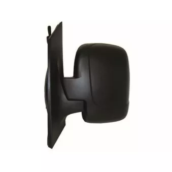 Rétroviseur extérieur SPILU 55451