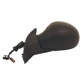 Rétroviseur extérieur SPILU 55461