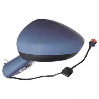 Rétroviseur extérieur SPILU 55491