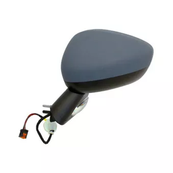 Rétroviseur extérieur SPILU 55497
