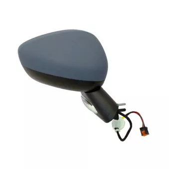 Rétroviseur extérieur SPILU 55498