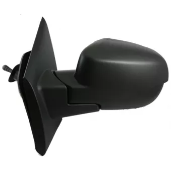 Rétroviseur extérieur SPILU 56442