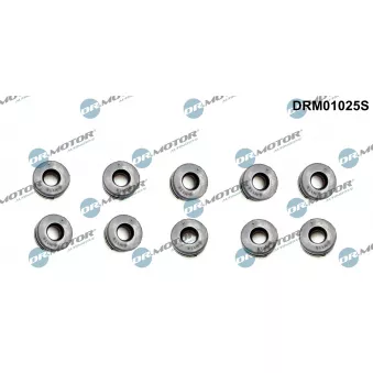 Butée élastique, cache moteur Dr.Motor DRM01025S
