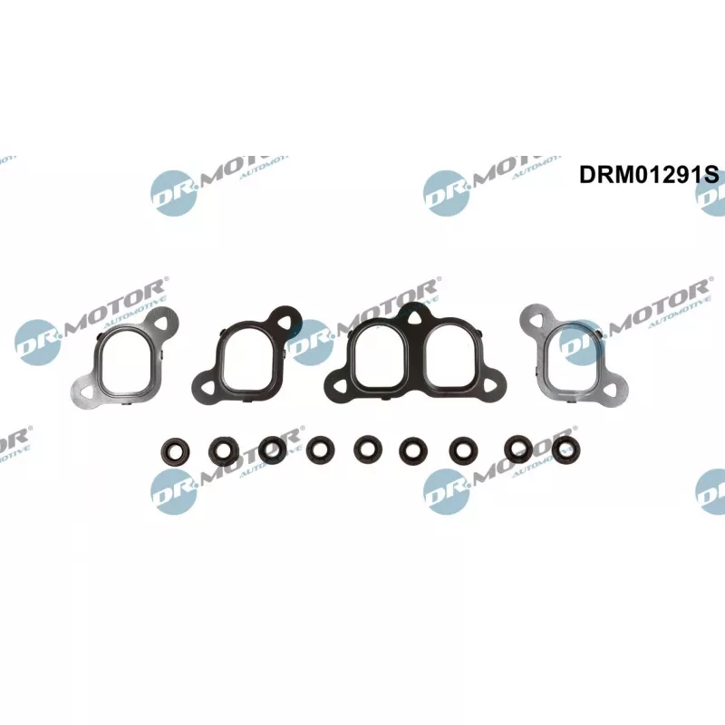 Jeu de joints d'étanchéité, collecteur d'admission Dr.Motor DRM01291S