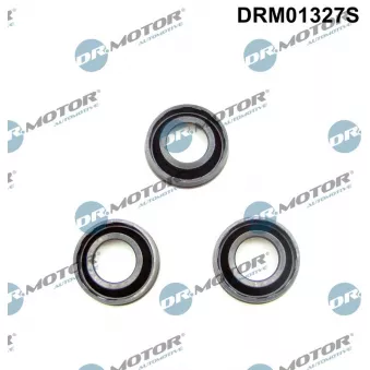 Joint d'étanchéité, porte-injecteur Dr.Motor DRM01327S