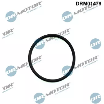 Joint d'étanchéité, pompe d'injection Dr.Motor DRM01479