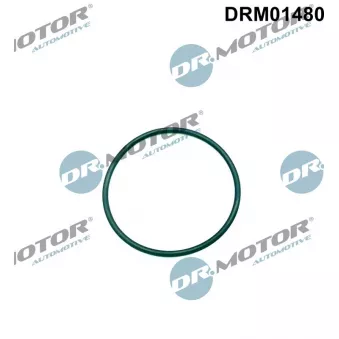 Joint d'étanchéité, pompe d'injection Dr.Motor DRM01480
