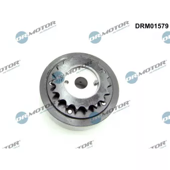 Dispositif de réglage électrique d'arbre à cames Dr.Motor DRM01579