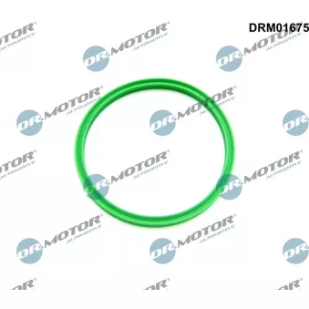 Bague d'étanchéité, gaine de suralimentation Dr.Motor DRM01675