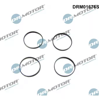 Jeu de joints d'étanchéité, collecteur d'admission Dr.Motor DRM01676S