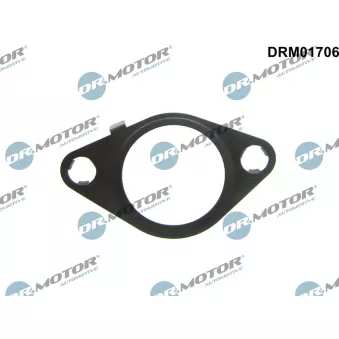 Joint, vanne EGR Dr.Motor DRM01706