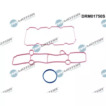 Jeu de joints d'étanchéité, collecteur d'admission Dr.Motor DRM01750S