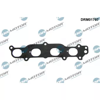 Joint d'étanchéité, collecteur d'admission Dr.Motor DRM01797