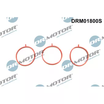 Jeu de joints d'étanchéité, collecteur d'admission Dr.Motor DRM01800S