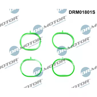 Jeu de joints d'étanchéité, collecteur d'admission Dr.Motor DRM01801S