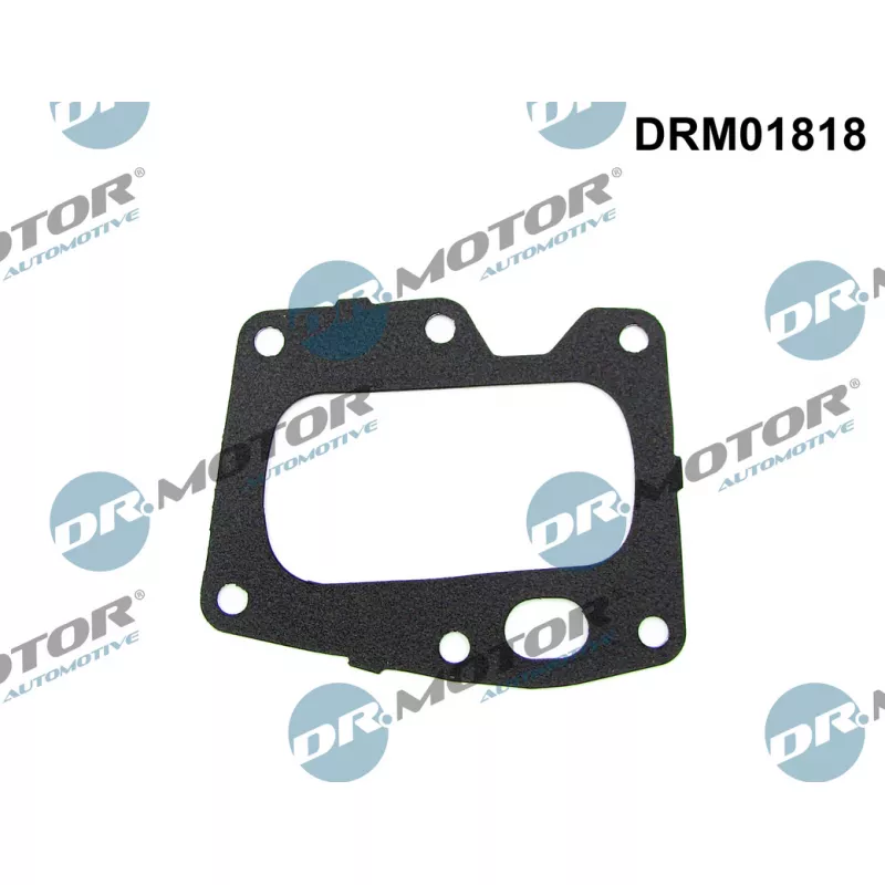 Joint, vanne EGR Dr.Motor DRM01818