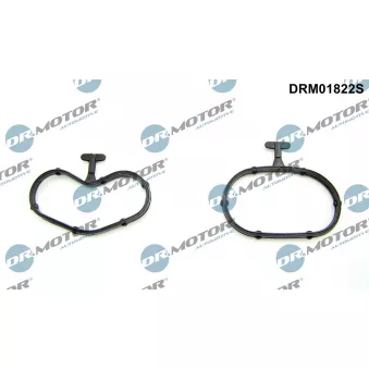 Kit de joints, radiateur d'huile Dr.Motor DRM01822S