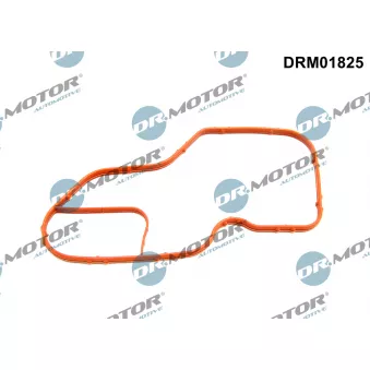 Joint d'étanchéité, boîtier du thermostat Dr.Motor DRM01825
