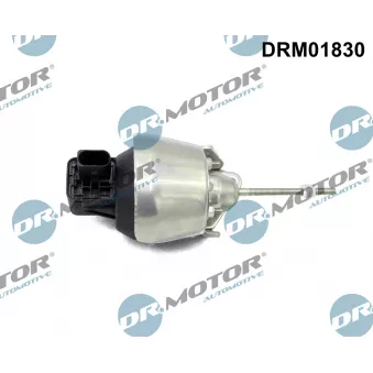 Détendeur de suralimentation Dr.Motor DRM01830