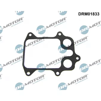 Joint, radiateur d'huile Dr.Motor DRM01833