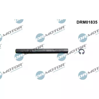 Arbre de transmission, pompe à huile Dr.Motor DRM01835