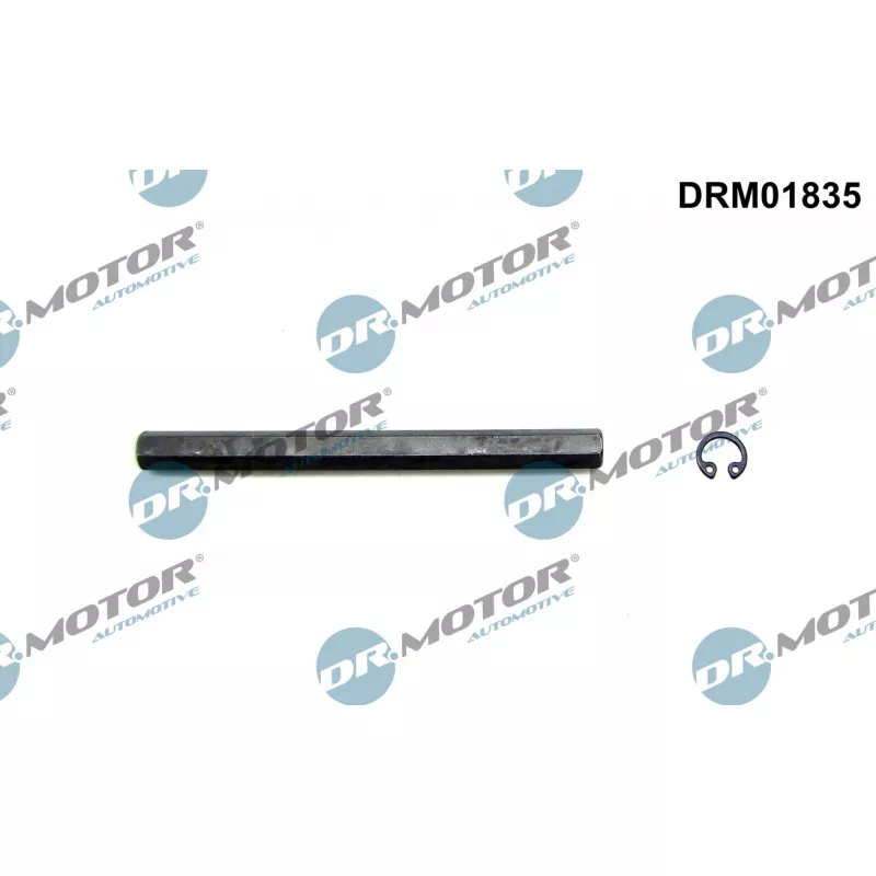 Arbre de transmission, pompe à huile Dr.Motor DRM01835