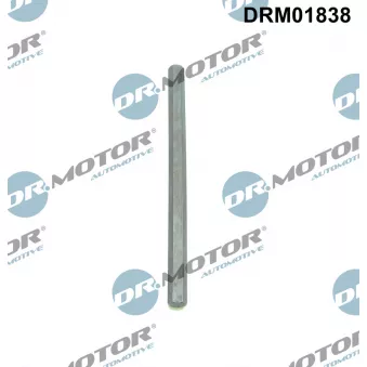 Arbre de transmission, pompe à huile Dr.Motor DRM01838