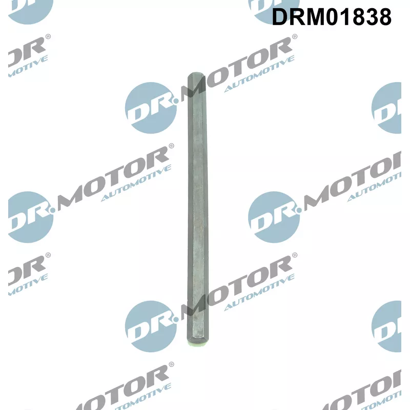 Arbre de transmission, pompe à huile Dr.Motor DRM01838