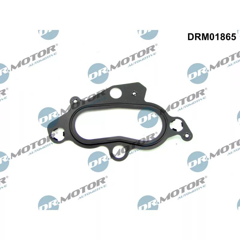 Joint d'étanchéité, boîtier du thermostat Dr.Motor DRM01865