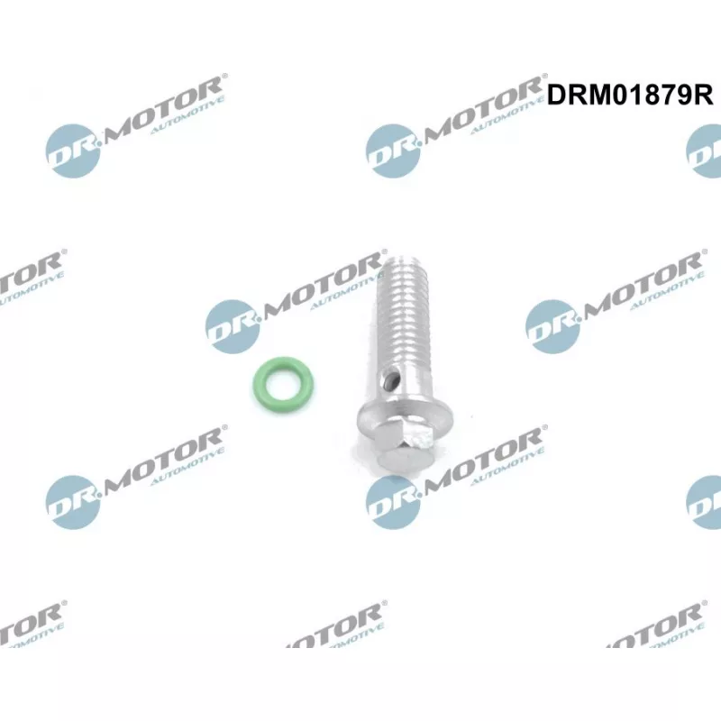 Kit de réparation, pompe à huile Dr.Motor DRM01879R