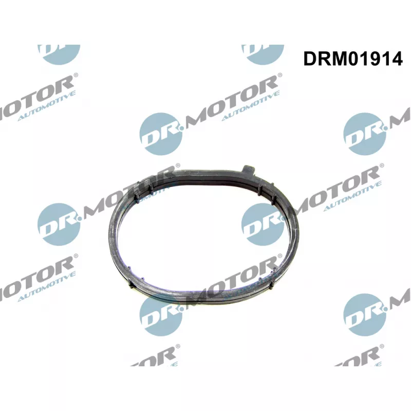 Joint d'étanchéité, collecteur d'admission Dr.Motor DRM01914