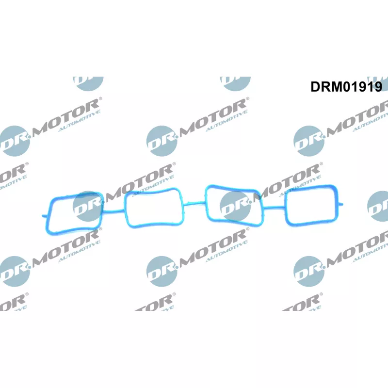 Joint d'étanchéité, collecteur d'admission Dr.Motor DRM01919