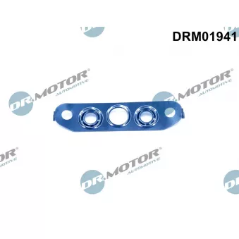 Joint, sortie d'huile (compresseur) Dr.Motor DRM01941