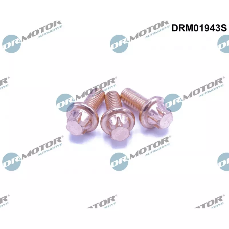 Vis, système d'échappement Dr.Motor DRM01943S