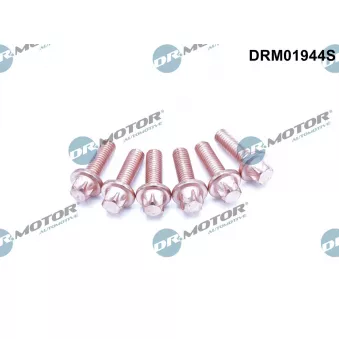 Vis, système d'échappement Dr.Motor DRM01944S