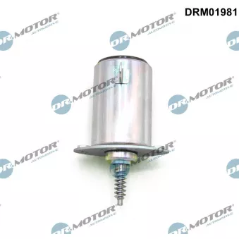 Valve de commande, réglage d'arbres à came Dr.Motor DRM01981